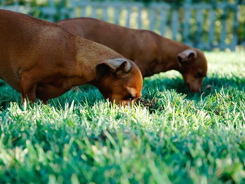 sudoku logic solving screenshot 3