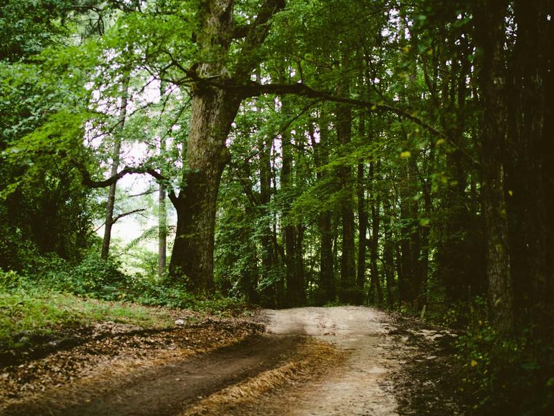 sudoku logic solving screenshot 4