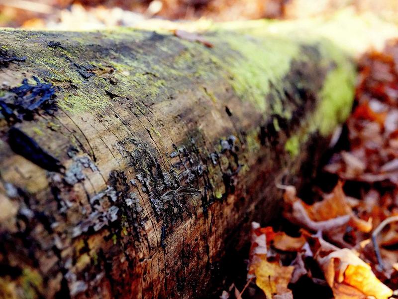 sudoku logic solving